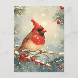Festive red Cardinal Christmas Greeting Postcard
