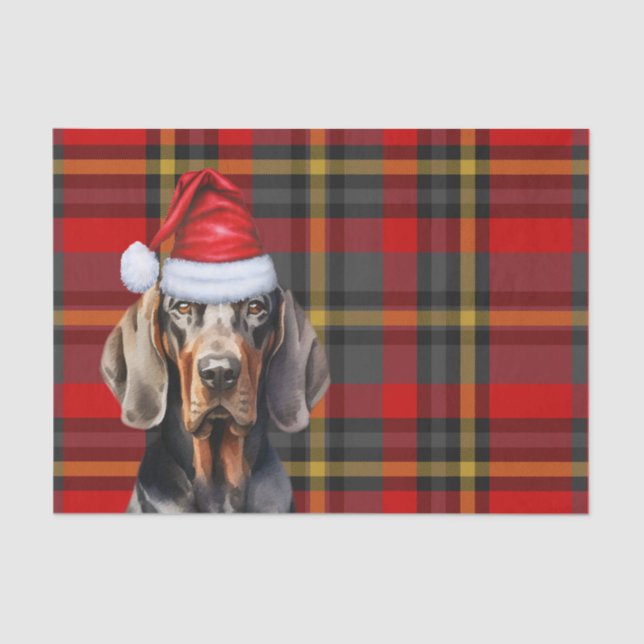 Festive Red Plaid and BT Coonhound Christmas Tissue Paper (Front)