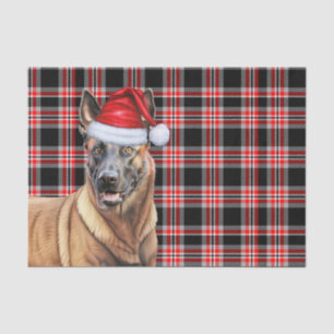 Festive Red Plaid Belgian Malinois Dog Christmas Tissue Paper