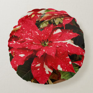 Festive Red White Floral Poinsettia Flowers Round Cushion