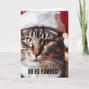 Festive Tabby Card