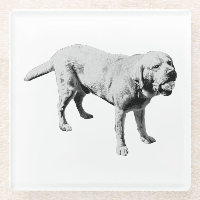 Fetch Pause Glass Coaster (Front)