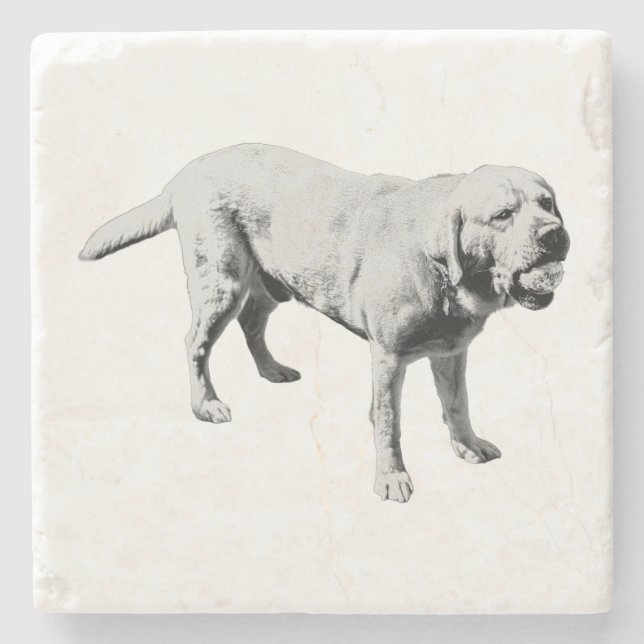 Fetch Pause Stone Coaster (Front)