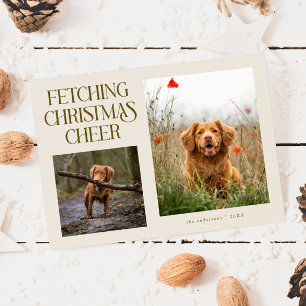 Fetching Christmas Cheer Cream Dog Photo Holiday Card