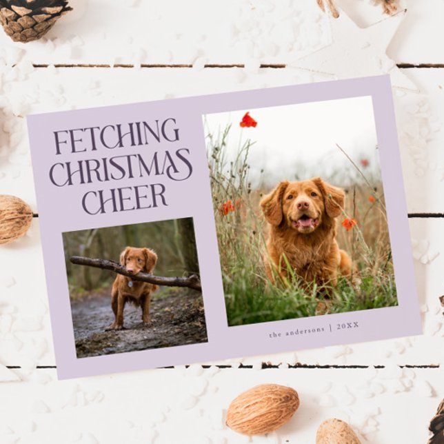 Fetching Christmas Cheer Purple Dog Photo  Holiday Card (Creator Uploaded)