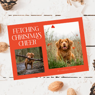 Fetching Christmas Cheer Red Dog Photo  Holiday Card