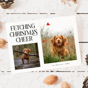 Fetching Christmas Cheer White Dog Photo  Holiday Card