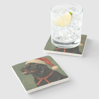 Fetching Through the Snow Stone Coaster