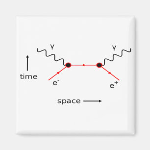 Feynman Diagram Physics Magnet