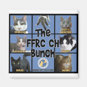 FFRC CH Bunch Magnet