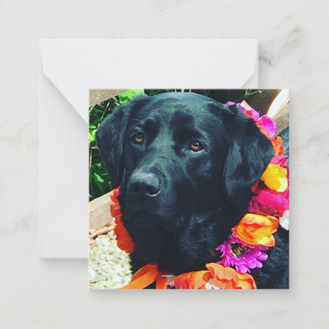 Fia Flower Dog with Floral Collar Note Card  (Front)