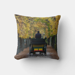 Fiaker In Schönbrunn, Wien Österreich Cushion