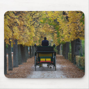 Fiaker In Schönbrunn, Wien Österreich Mouse Pad