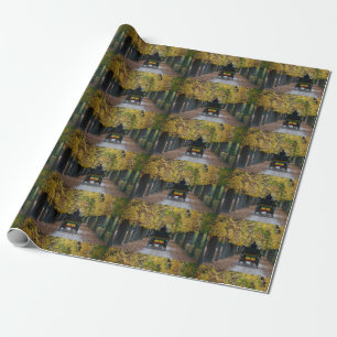 Fiaker In Schönbrunn, Wien Österreich Wrapping Paper