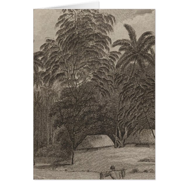 Fiatooka, Tongataboo, Tonga (Front)