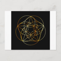 Fibonacci Spiral- The sacred geometry