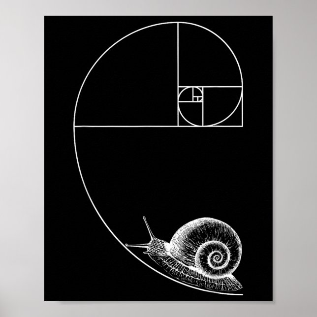 Fibonacci With Snail Mathematics Math Teacher Geom Poster (Front)