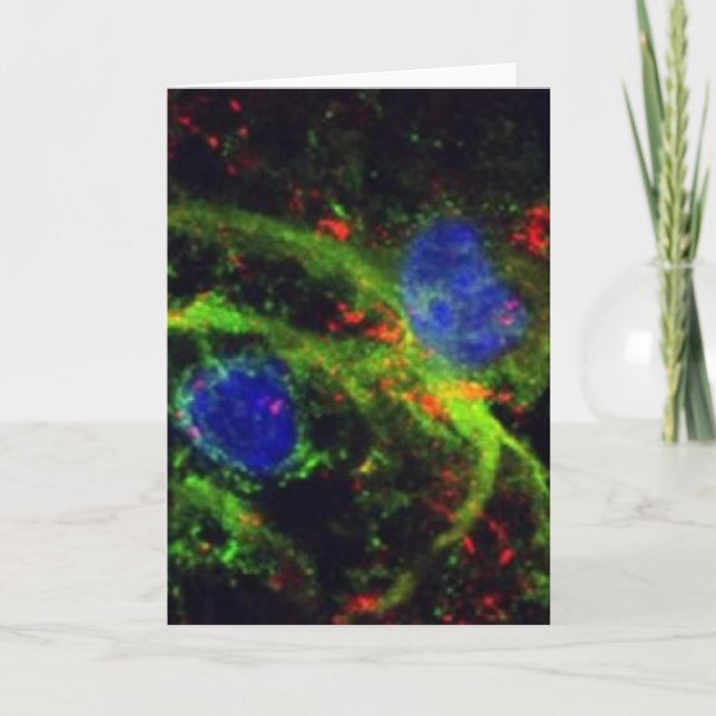 fibrinogen greeting card (Front)