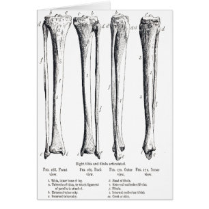 Fibula & Tibia  Card