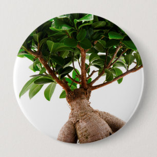 Ficus Ginseng 10 Cm Round Badge