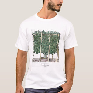 Ficus indica eystettensis, from the 'Hortus Eystet T-Shirt