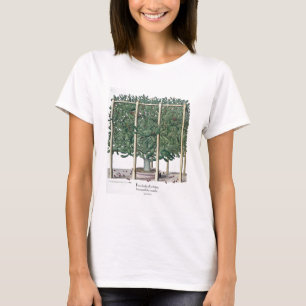 Ficus indica eystettensis, from the 'Hortus Eystet T-Shirt