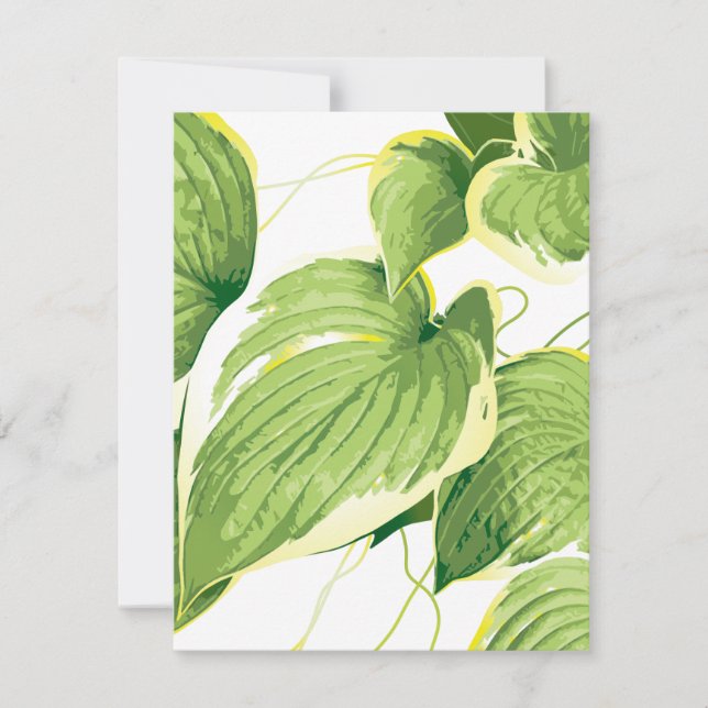 Ficus Plant 2 Card (Front)
