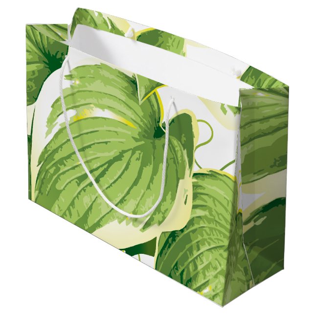 Ficus Plant 2 Large Gift Bag (Back Angled)
