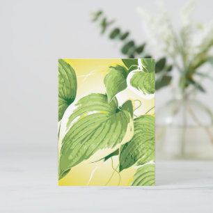 Ficus Plant 4 Postcard