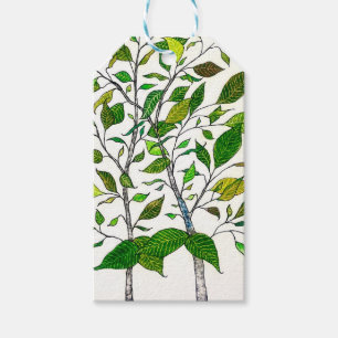 Ficus Plant Color Pencil Tree Drawing Gift Tags