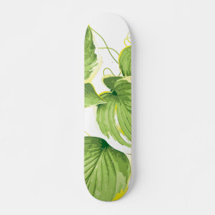 Ficus Plant Skateboard