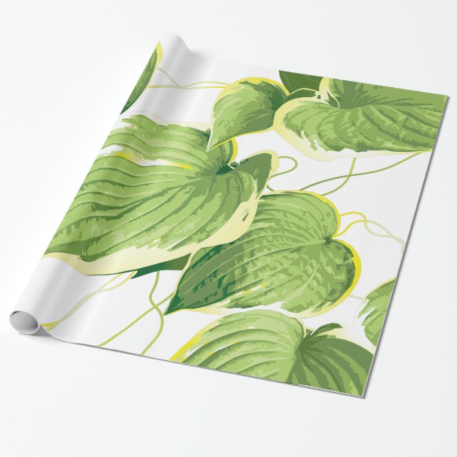 Ficus Plant Wrapping Paper (Unrolled)