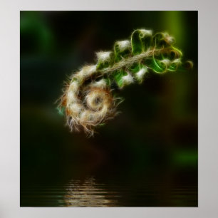 Fiddlehead Fern print