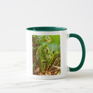 Fiddleheads Mug