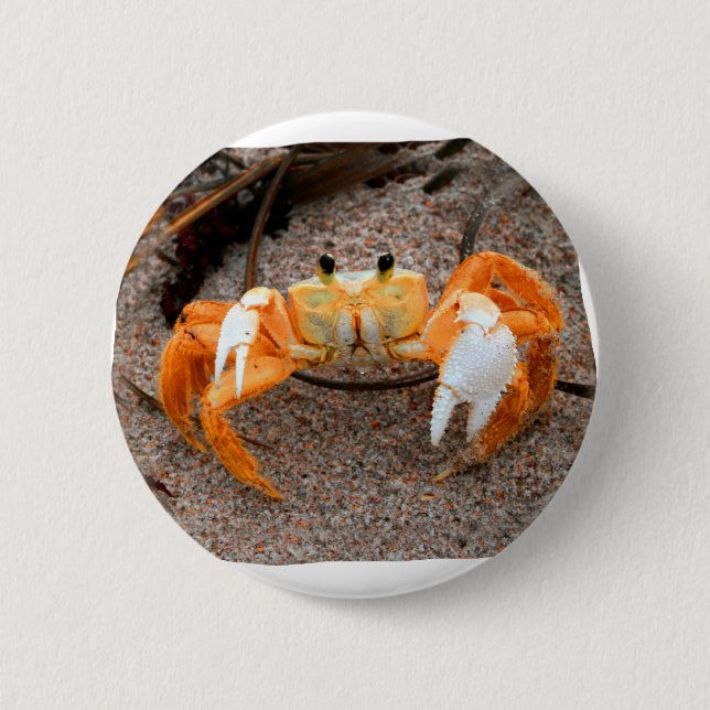 Fiddler Crab On Beach Colourized Orange 6 Cm Round Badge (Front)