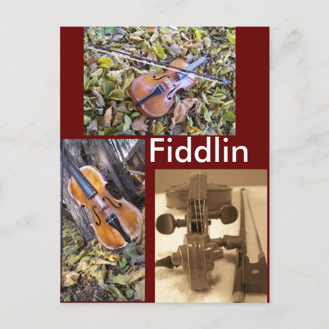 fiddlin fanatic postcard (Front)