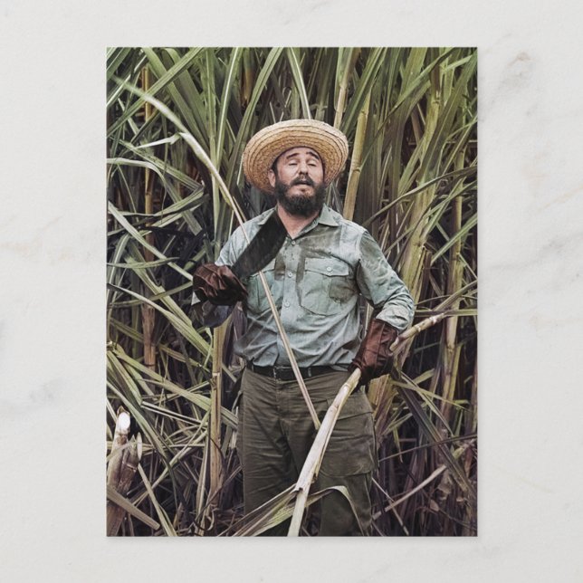 Fidel Castro Postcard (Front)