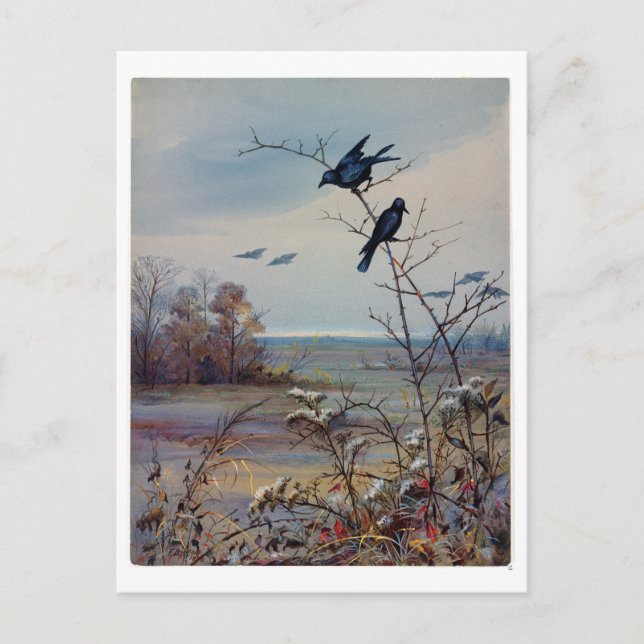 Fidelia Bridges Holiday Postcard (Front)