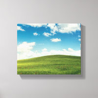 Field