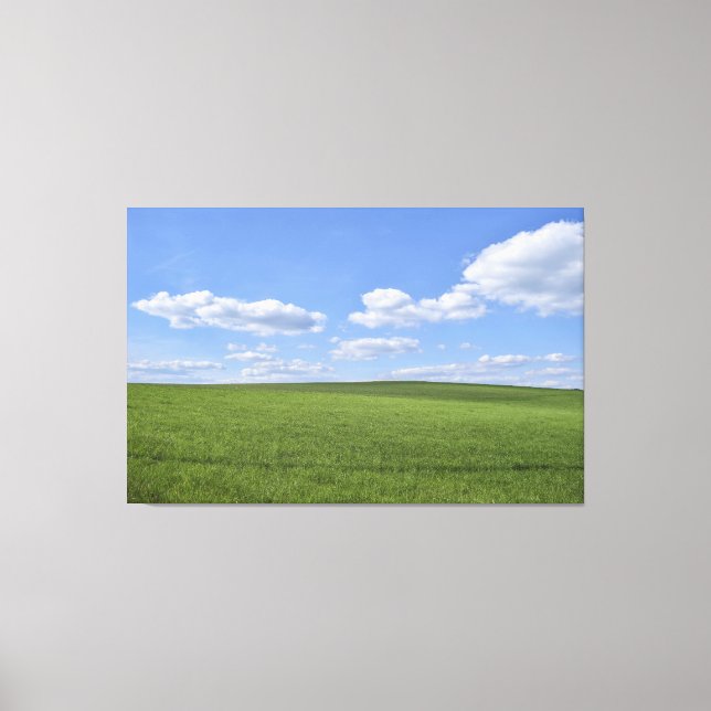 Field  canvas print (Front)