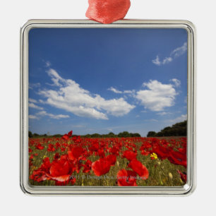 Field Full Of Red Flowers Metal Tree Decoration