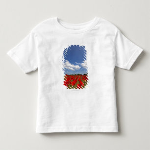 Field Full Of Red Flowers Toddler T-Shirt