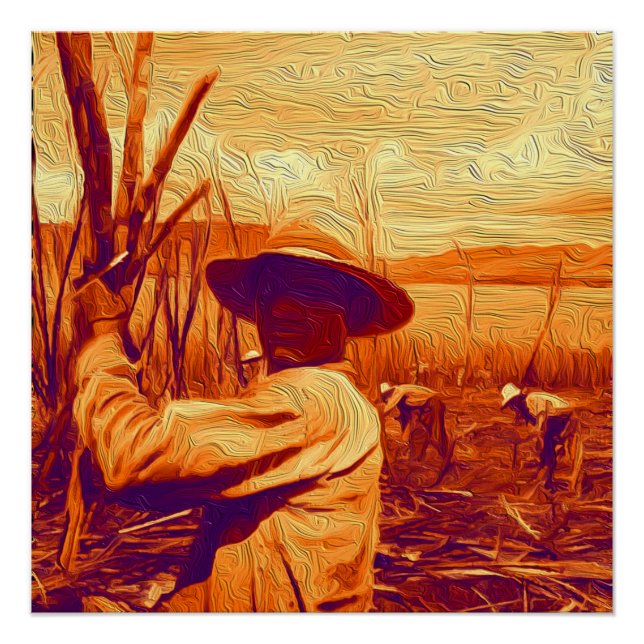 Field Hands Harvesting Sugar Cane Poster (Front)