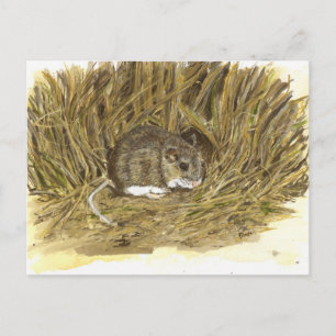 Field Mouse post card