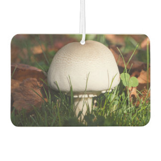 Field mushroom in a forest car air freshener