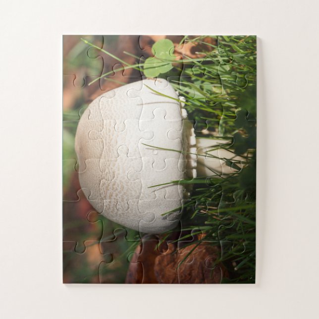 Field mushroom in a forest jigsaw puzzle (Vertical)
