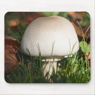 Field mushroom in a forest mouse pad