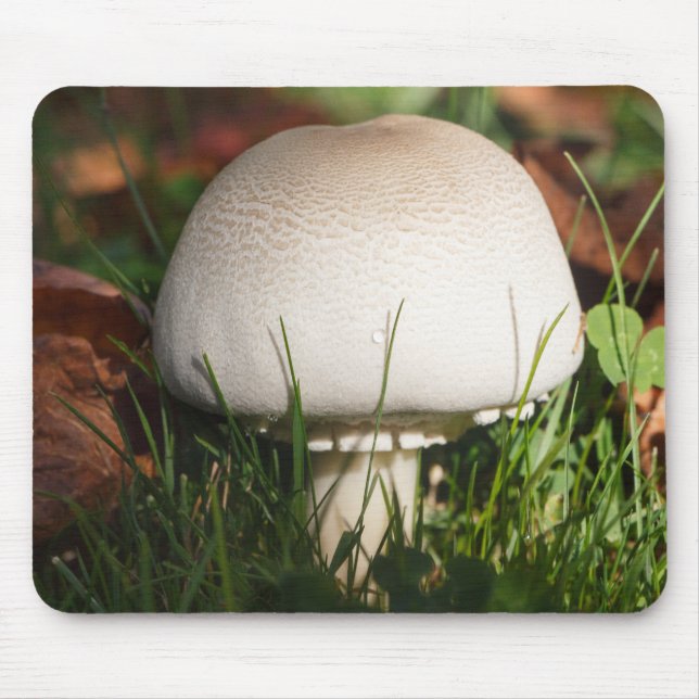 Field mushroom in a forest mouse pad (Front)