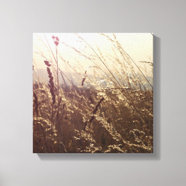 Field Nature Canvas Print (Front)