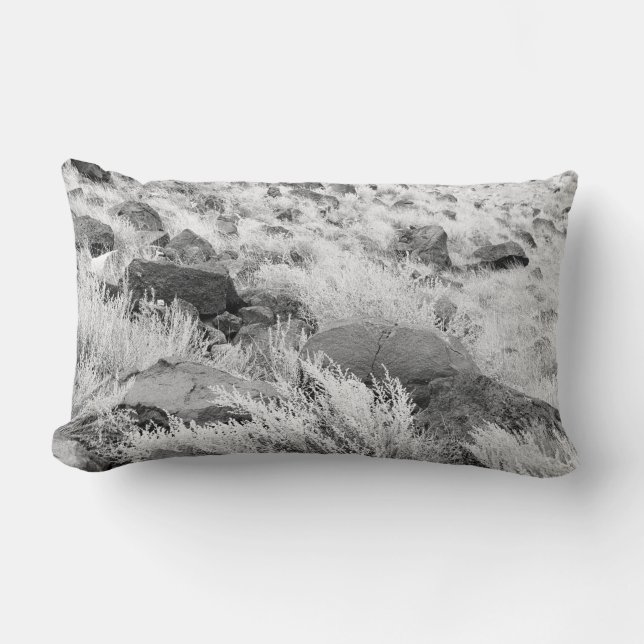 Field of Basalt Lumbar Cushion (Front)